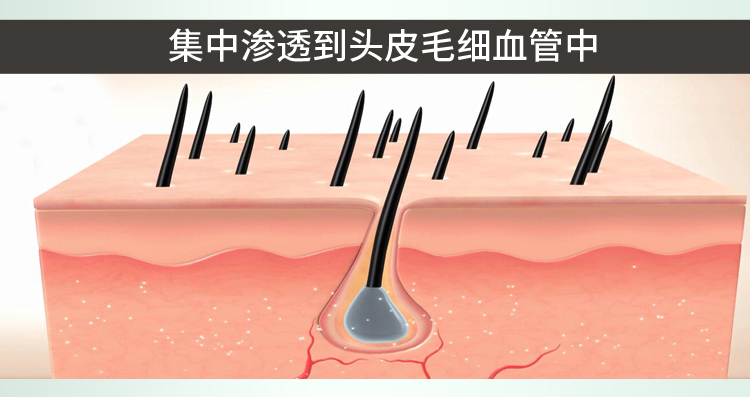 印尼苗根生10.jpg